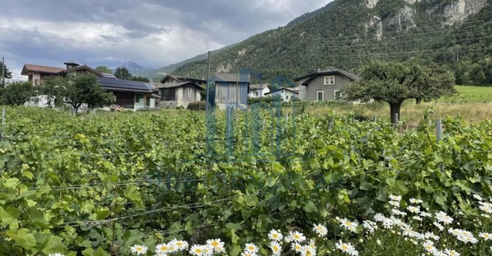 Villa neuve à 7 min de Sion - Villa 4.5 pièces - image - 6