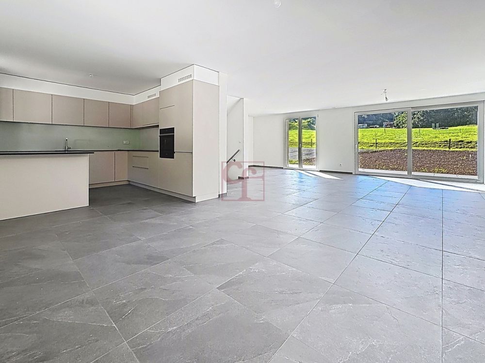 Villa individuelle et neuve à La Roche - Salon / salle à manger