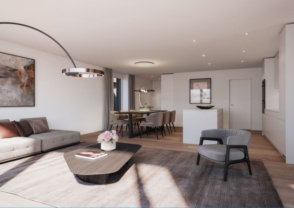 «Gartenweg» Erlinsbach - Letzte Terrassenwohnung - Innenvisualisierung Wohn-/Essbereich