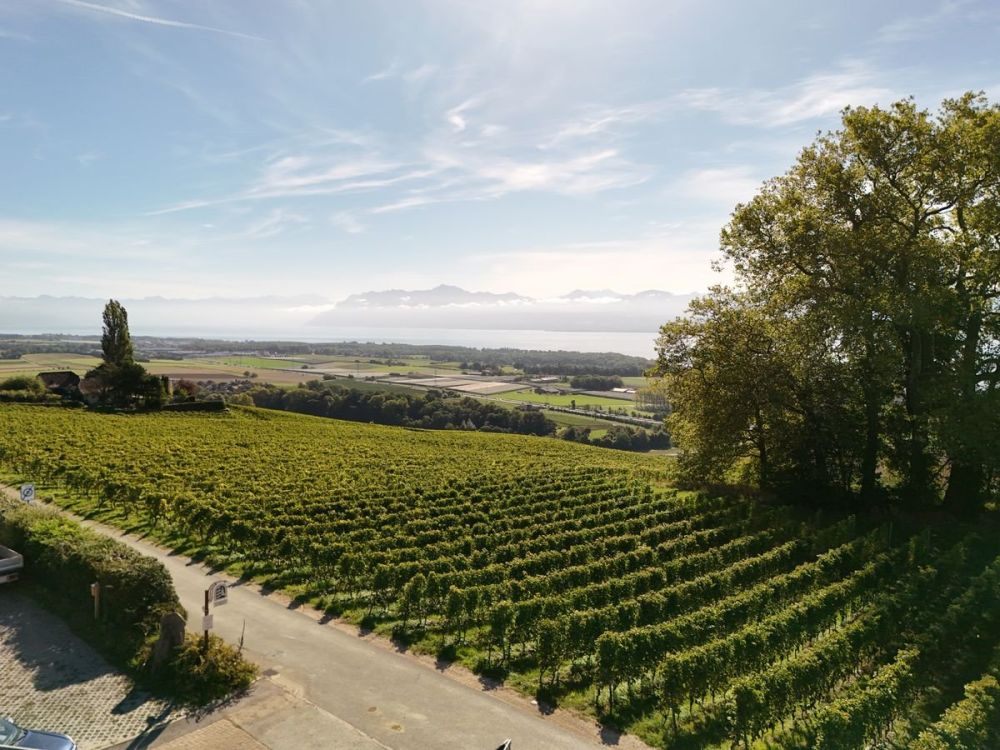 Villa neuve haut de gamme : 360 m² de lumière et de prestige face au lac et aux Alpes, à vous de choisir les finitions ... - Bild 1