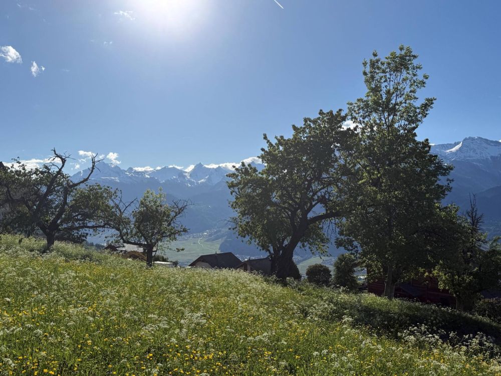 Magnifique attique neuf avec vue panoramique -  Bild 5