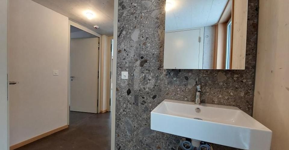 ALPINE ÄSTHETIK - MODERN INTERPRETIERT - Appartement 2.5 pièces - image - 5