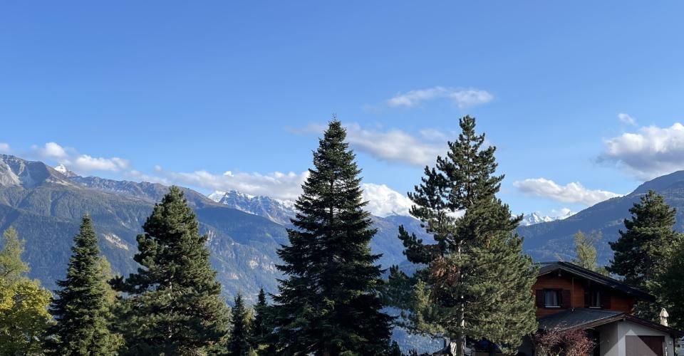 En construction, chalet traditionnel, quartier calme, vue panoramique - Chalet 5.5 pièces - image - 1
