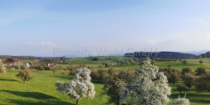 Wenn nicht jetzt - wann dann? 4,5 Zimmer Maisonette Whg - Maugwil - Landschaft
