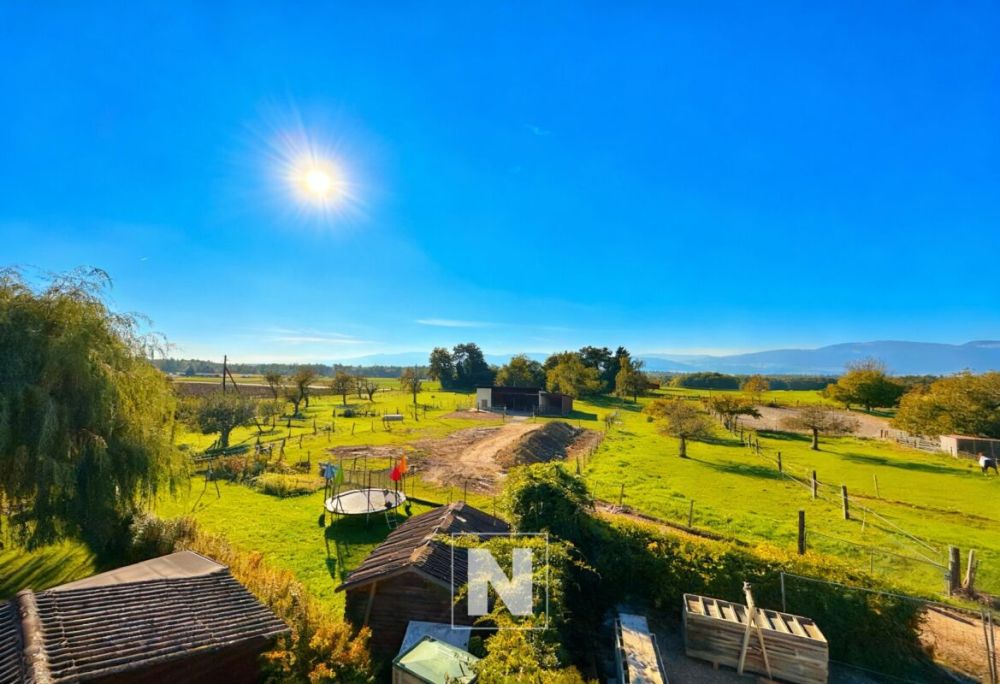 Appartement neuf sur plans ! Lot no 4 - Bild 13