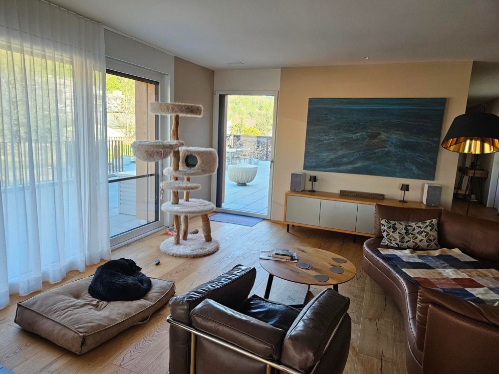 Modernes Einfamilienhaus in ruhiger Lage – Villmergen, 5612 -  Bild 4