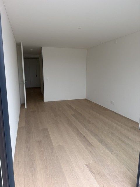 Erstvermietung top ausgebaute Attika im steuergünstigen Zofingen -  Bild 10