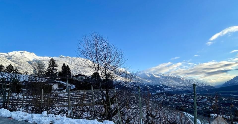 Promotion de 2 villas mitoyennes de 4.5 pces au calme, vue panoramique - Immeuble résidentiel 9 pièces - image - 5