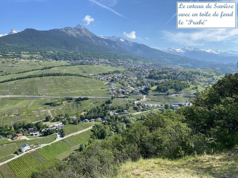 Nouveauté - Centre de Savièse -  Bild 6