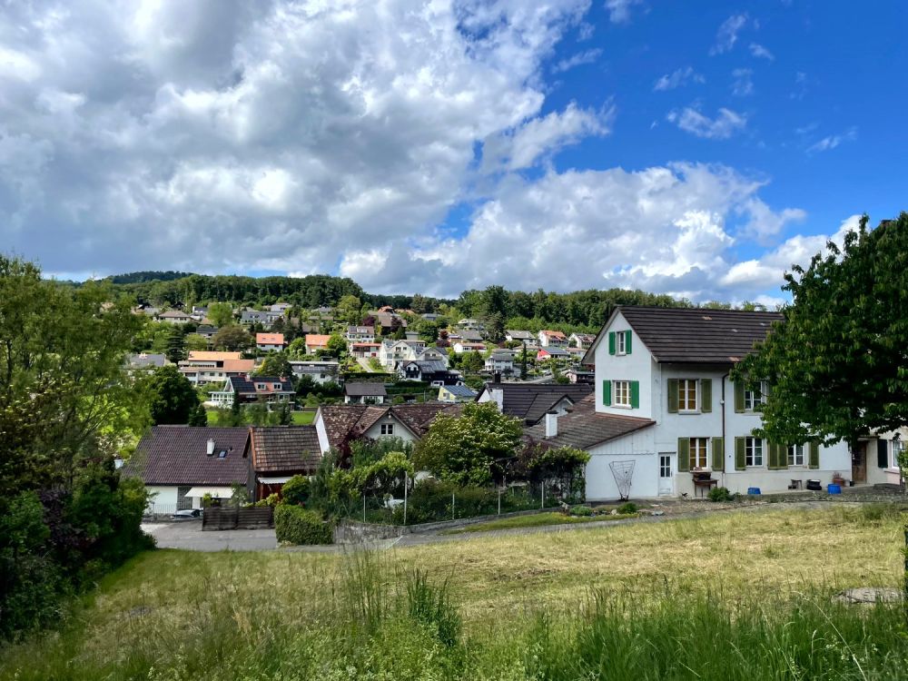 drei Freistehende EFH-Projekte an ruhiger Lage -  Bild 3