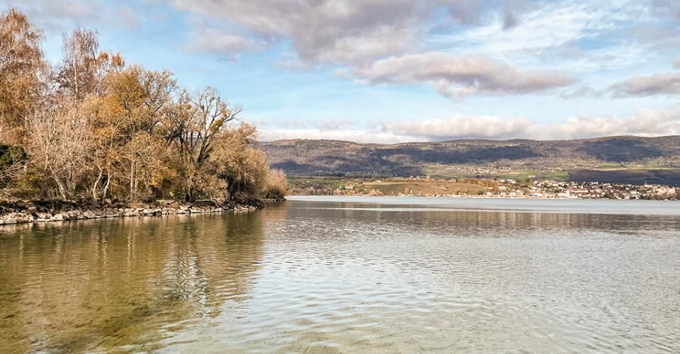 SE RÉVEILLER À QUELQUES MÈTRES DE L"EAU - OUVRIR LA BAIE VITRÉE ET SENTIR L"AIR DU LAC - Appartement 3.5 pièces - image - 3