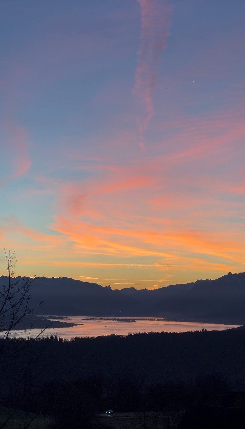 2.5-Zimmer-Tiny-House mit spektakulärer Zürichsee-Aussicht  ca. 20 Min. von Zürich -  Bild 3
