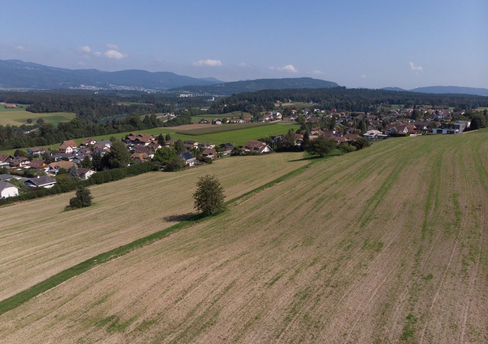 Einfamilienhaus mit Projekt in Riken -  Bild 2