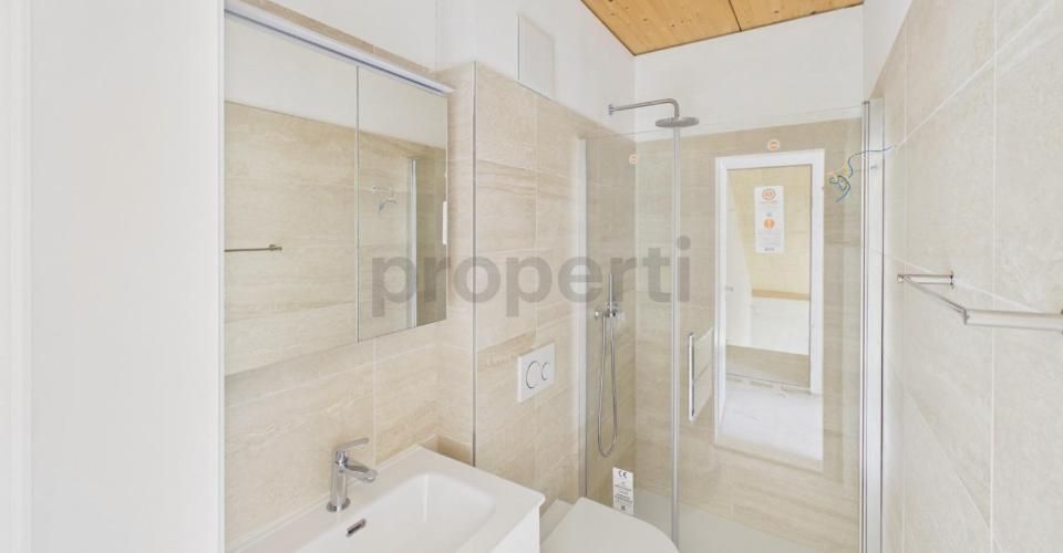 Grande surface, immeuble entièrement rénové - Appartement 5.5 pièces - image - 9