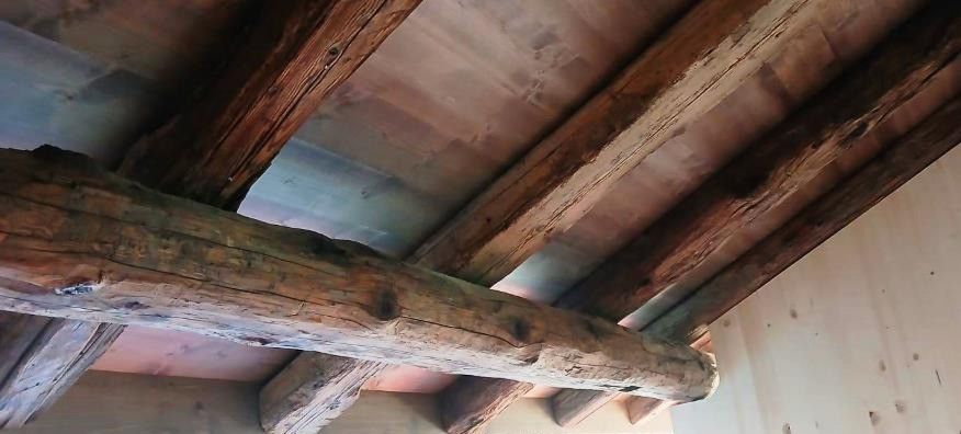 MAISON VILLAGEOISE ÉCOLOGIQUE, JARDIN, CAVE, PARKING, EN COURS DE CONSTRUCTION - Bild 5