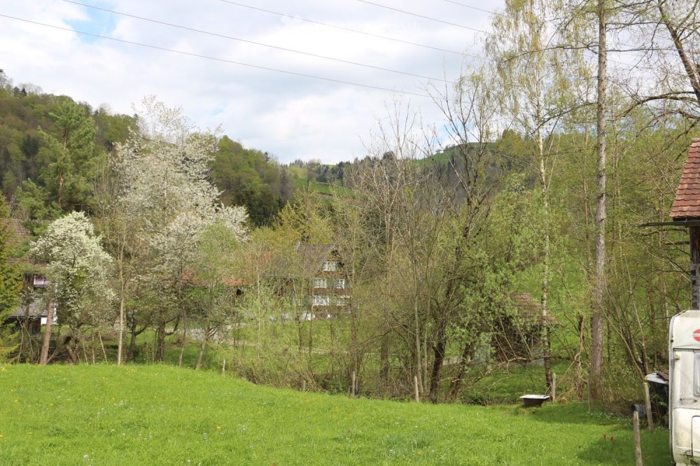 Neubau-Bauernhaus mit Minergie-Standard in idyllischer Lage -  Bild 3