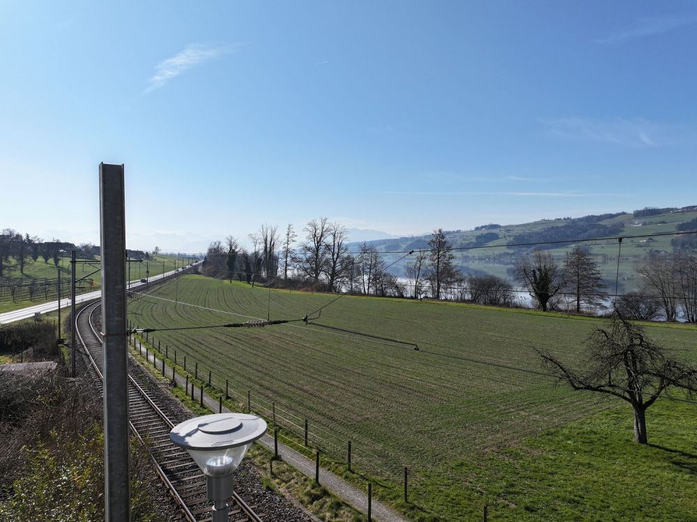 Unverwechselbar individuell: «Turmfalke» am Baldeggersee, Gelfingen -  Bild 5