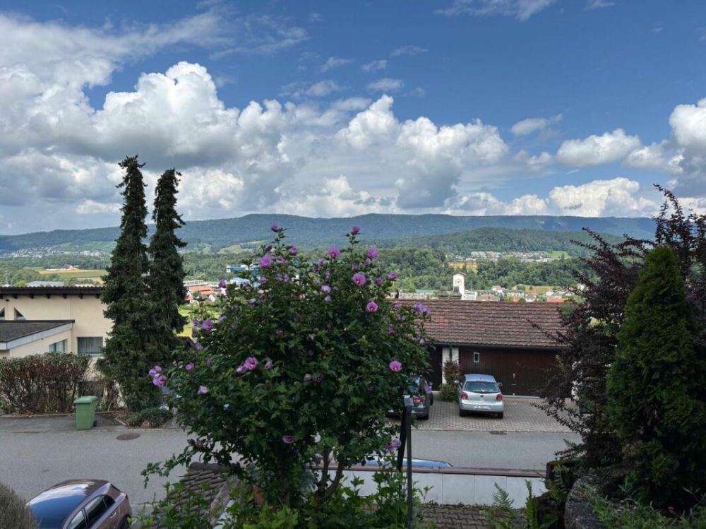 Wohn(T)raum - Einfamilienhaus in Killwangen an bester Lage - Bieterverfahren! -  Bild 11