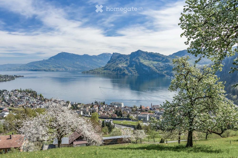 Letzte Exklusive 5.5-Zimmer-Neubau-Terrassenwohnung mit Seeblick in Hergiswil NW KEINE Makler!! -  Bild 8