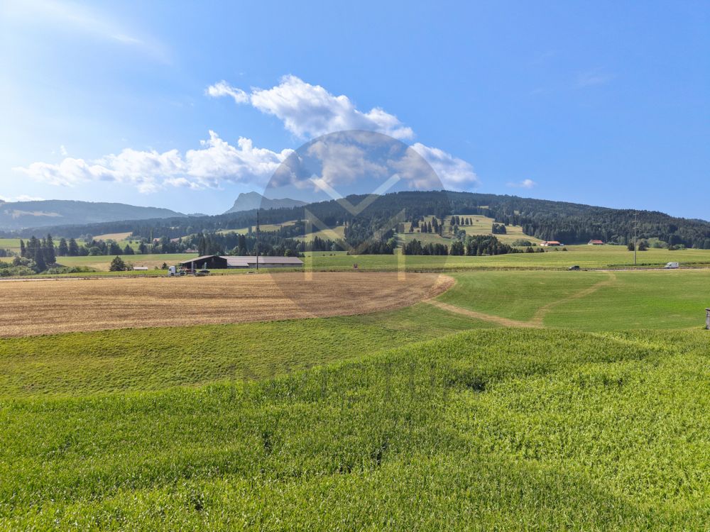 Magnifique 4.5  - www.loreedumoleson.ch -  110 m2 -  Bild 6