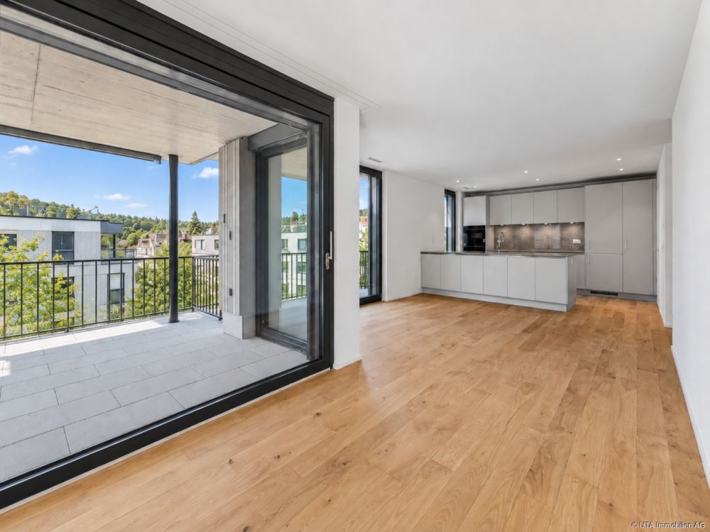 Hochwertige 4-Zimmer-Neubauwohnung mit grosser Terrasse - Wohn-/ Esszimmer