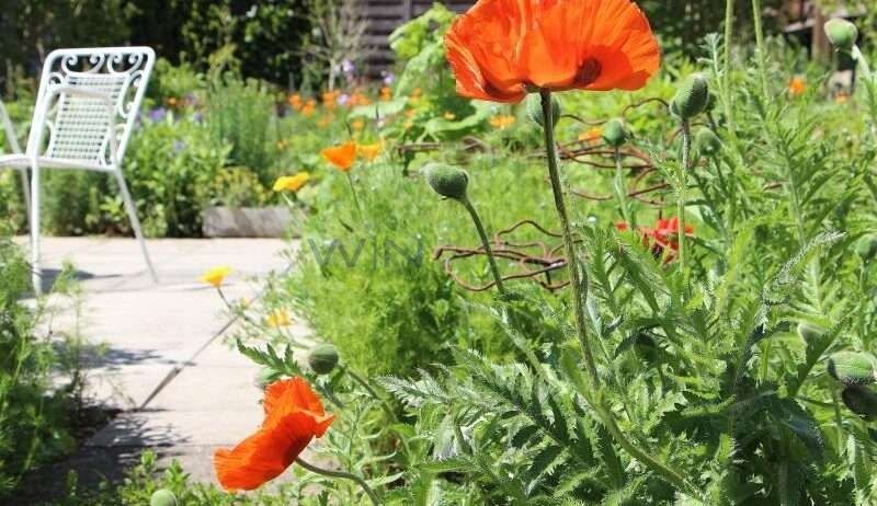8 Zi-Wohnhaus mit Garage & Garten - Garten
