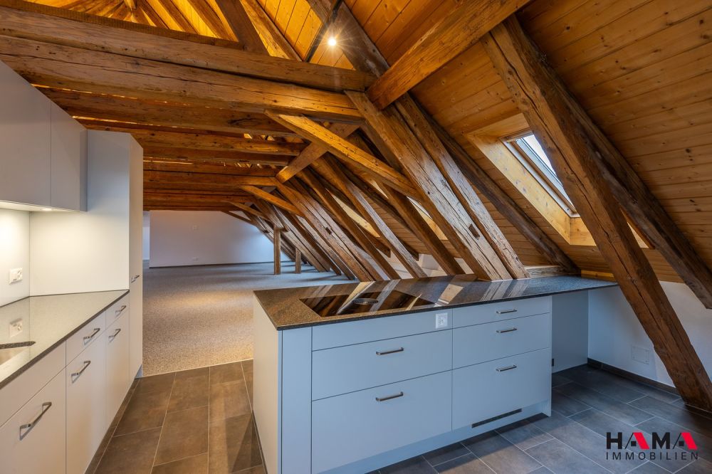 FRÜHLINGSAKTION 1. NETTOMIETZINS GRATIS 5.5-Zimmer-Loft-Wohnung mit Balkon -  Bild 3