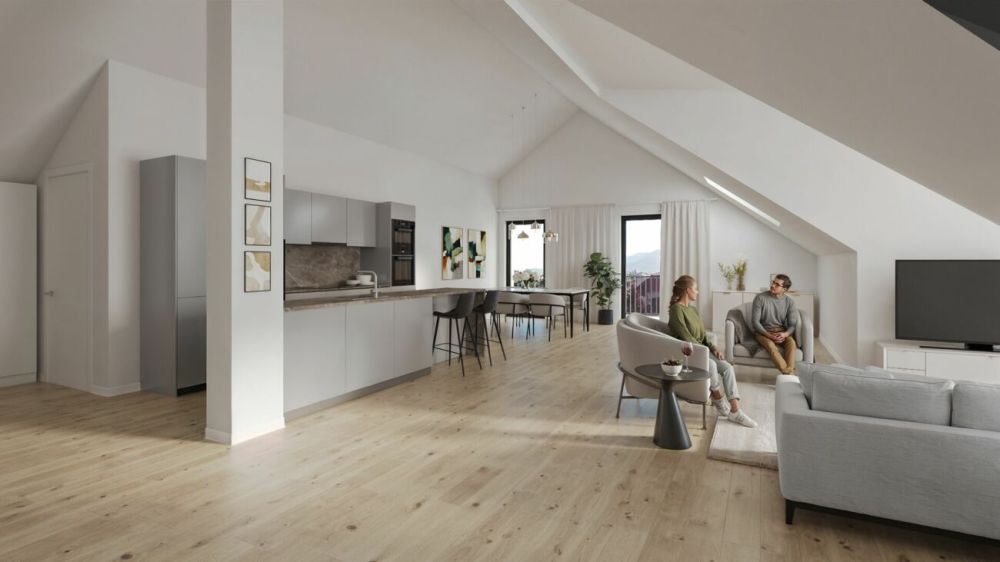 Zur Wagnerei - traumhafte und loftartige Dachwohnung - Bild 1