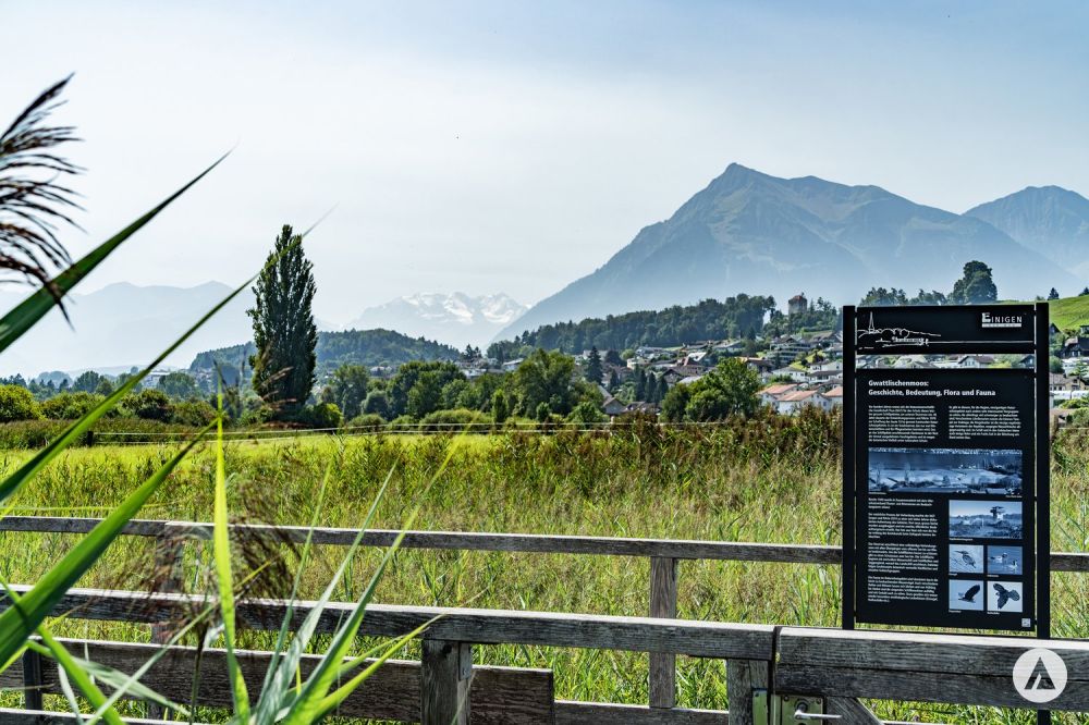 Neubauprojekt Gwattmoos: 4½-Zimmerwohnung im 1. OG - Bild 8