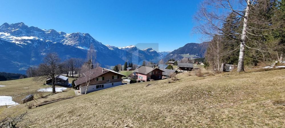 EINZIGARTIG UND NATURVERBUNDEN -  Bild 3