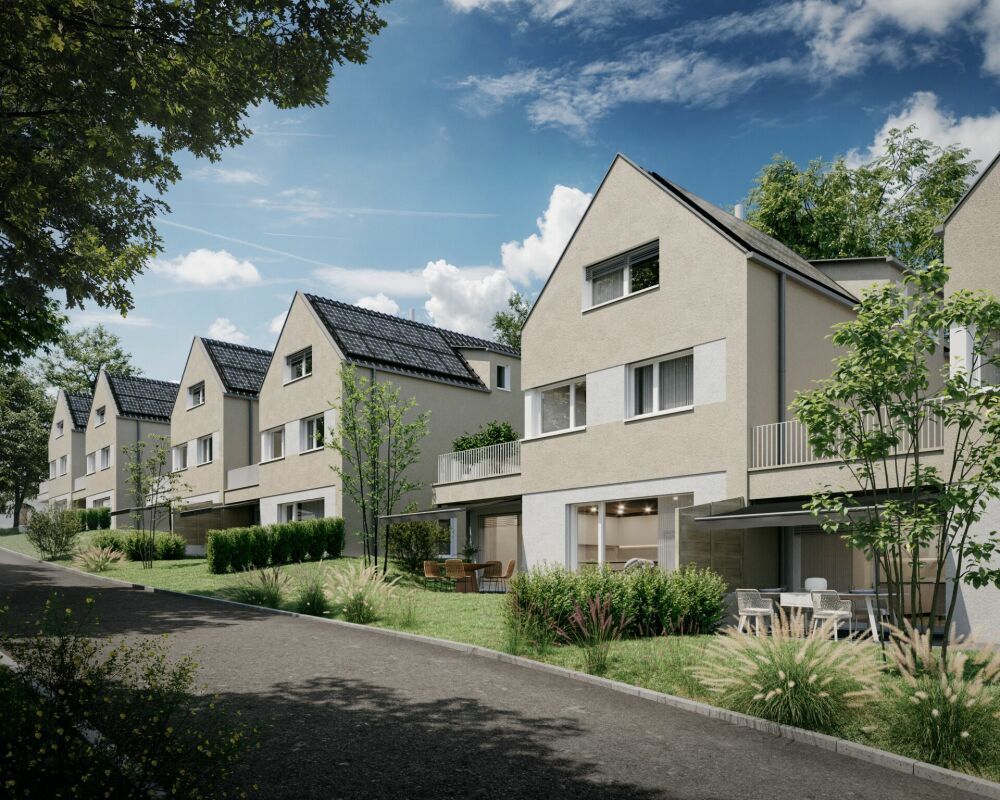 Wohnen mit Weitblick - moderne Doppelhäuser in Stein am Rhein - Bild 4