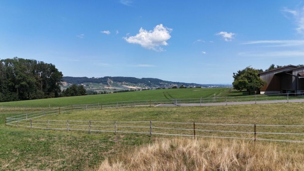 Neubau 5.5-Zi.-Doppeleinfamilienhaus an erhöhter Wohnlage mit Weitsicht in Amlikon-Bissegg (Haus A) -  Bild 1