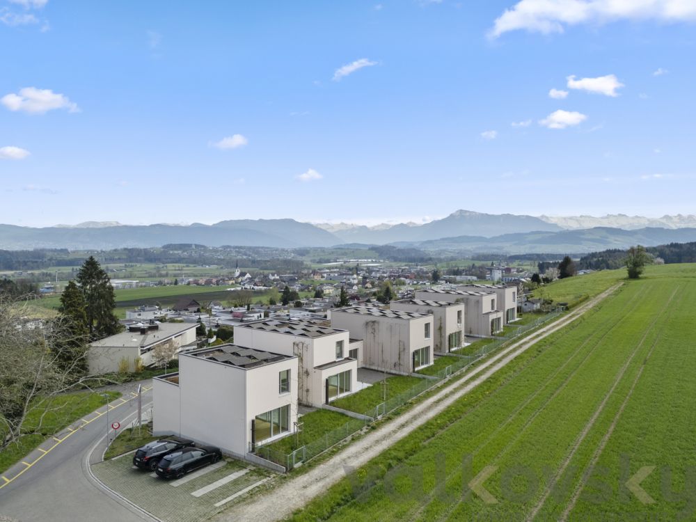 Top of Sins - Bild 6