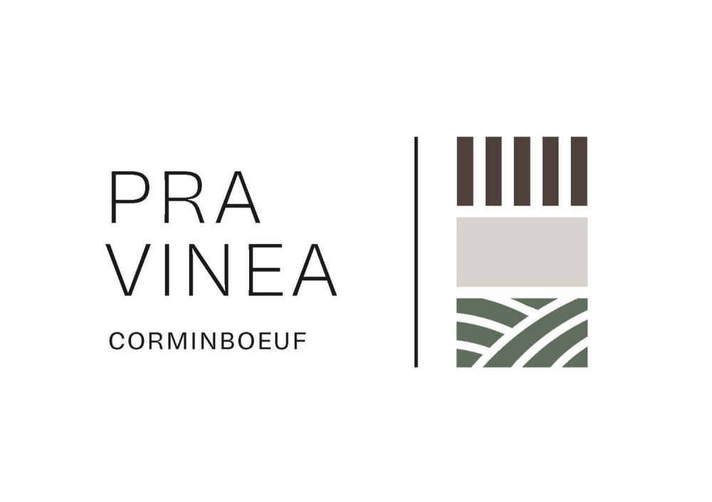 Architecture et beaux volumes | Villa C du projet Pra Vinea à Corminboeuf -  Bild 8
