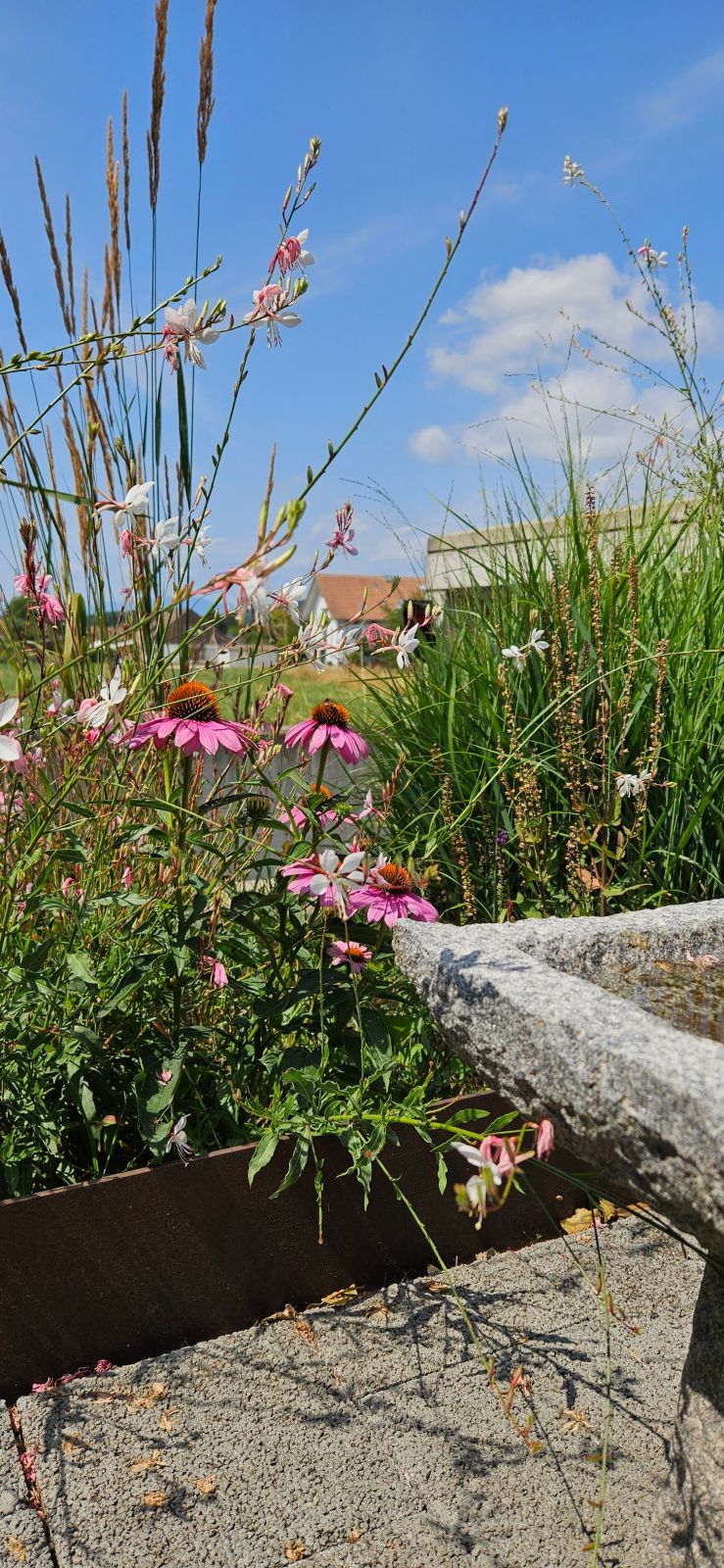 3 Minuten zu Fuss vom See entfernt wohnen 4.5 Zimmer-Wohnung im Hochparterre Lüscherz am Bielersee -  Bild 13