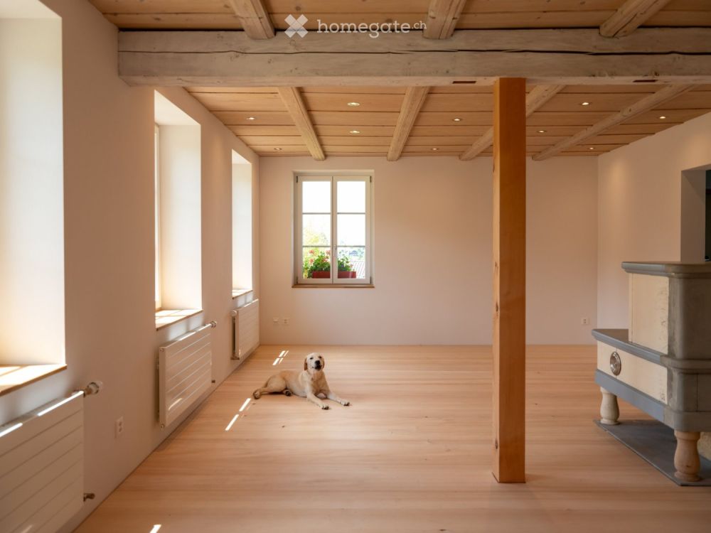 Neue moderne 2.5 Zi. Wohnung mit Charme in Bauernhaus im EG -  Bild 9