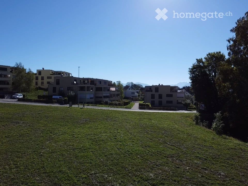 Grosszügige 5.5-Zimmer-Wohnung am Sonnenhang in Hombrechtikon -  Bild 6
