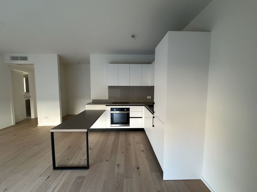 Moderno bilocale con grande giardino privato - soluzione distintiva a Chiasso (nuova residenza) - Moderno bilocale con grande giardino privato - soluzione distintiva a Chiasso (nuova residenza) - 2