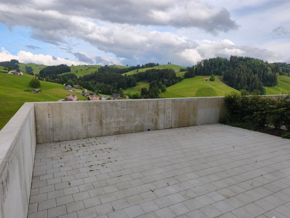 6.5-Zi. Reihenendhaus mit Säntisblick in Dicken -  Bild 4