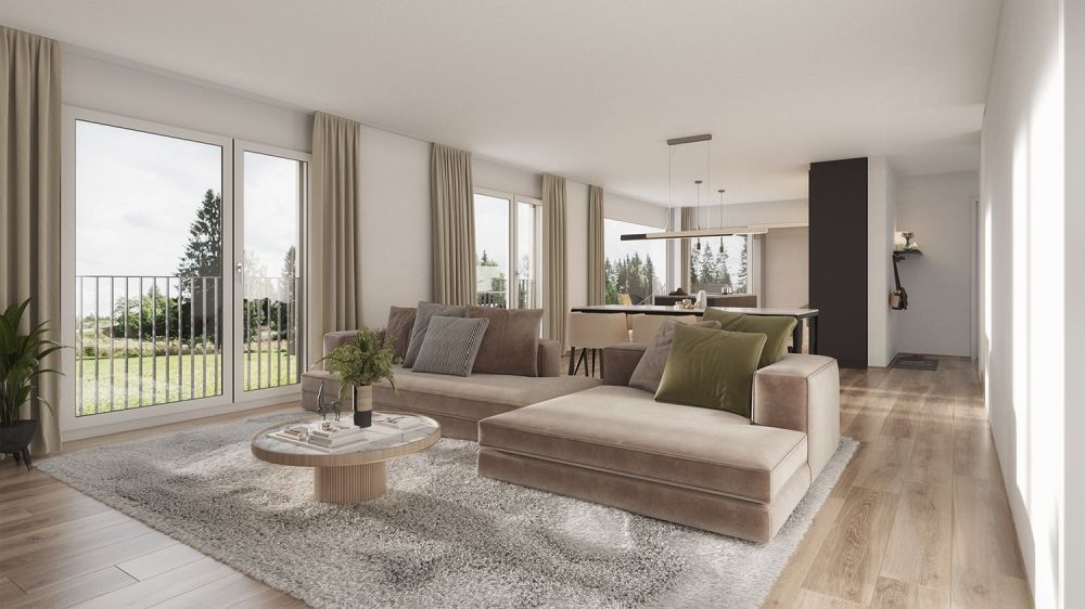 Neubau 5.5-ZI-EFH mit Attika-Geschoss / Reinach AG - Sonnenlage und Weitblick - Bild 1