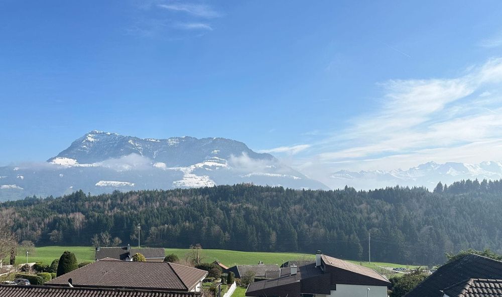 Blick auf die Rigi:Luxuriöse 4.5-Zimmer Duplexwohnung in Udligenswi -  Bild 8
