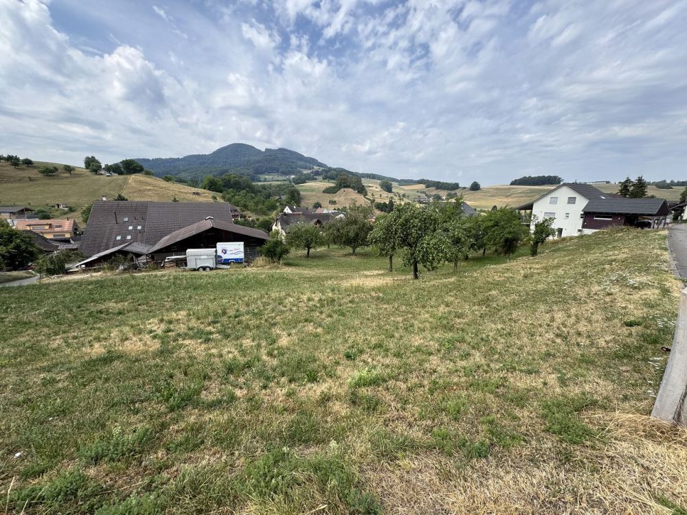 D'EFH + freistehendes EFH an idyllischer und ruhiger Lage -  Bild 4