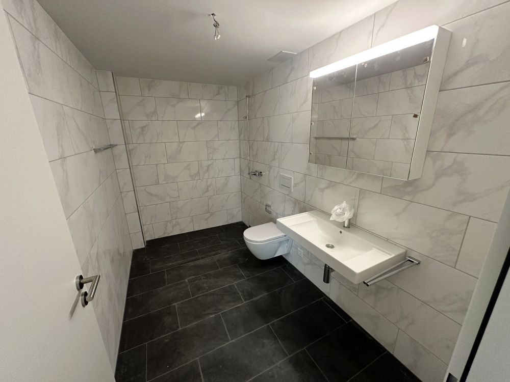 Wohnen mit Industrie-Chic in der ehemaligen Bschüssig - WC / Dusche