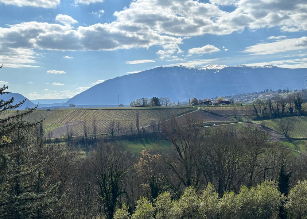 Appartements 5 pièces à vendre à Russin -  Bild 3