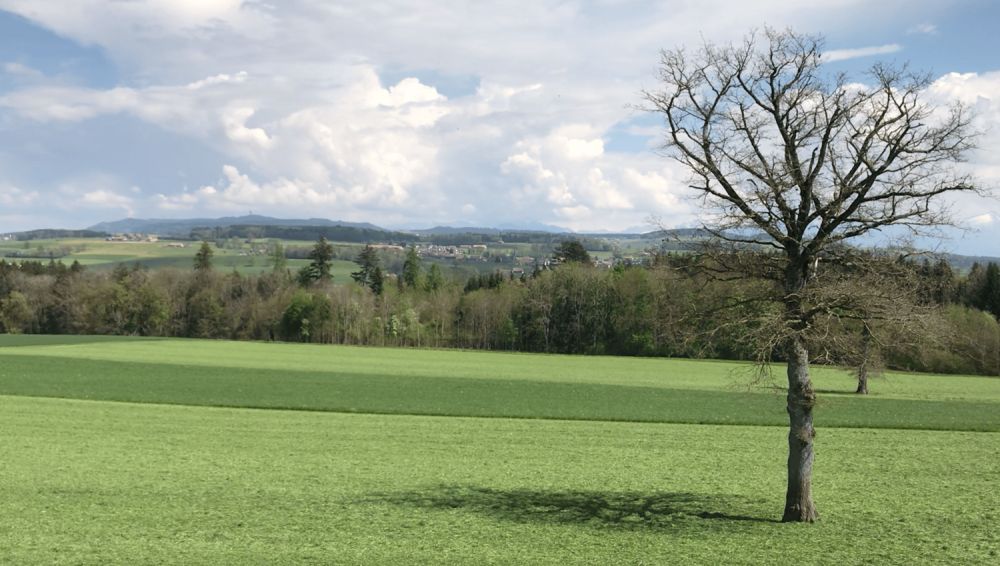 Nouvelle promotion de 4 villas individuelles -  Bild 9