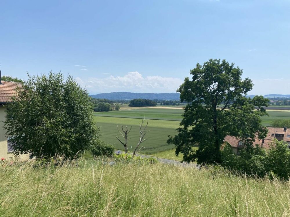 Gampelen/ BE - Appartement neuf de 3.5 pièces - Bild 5