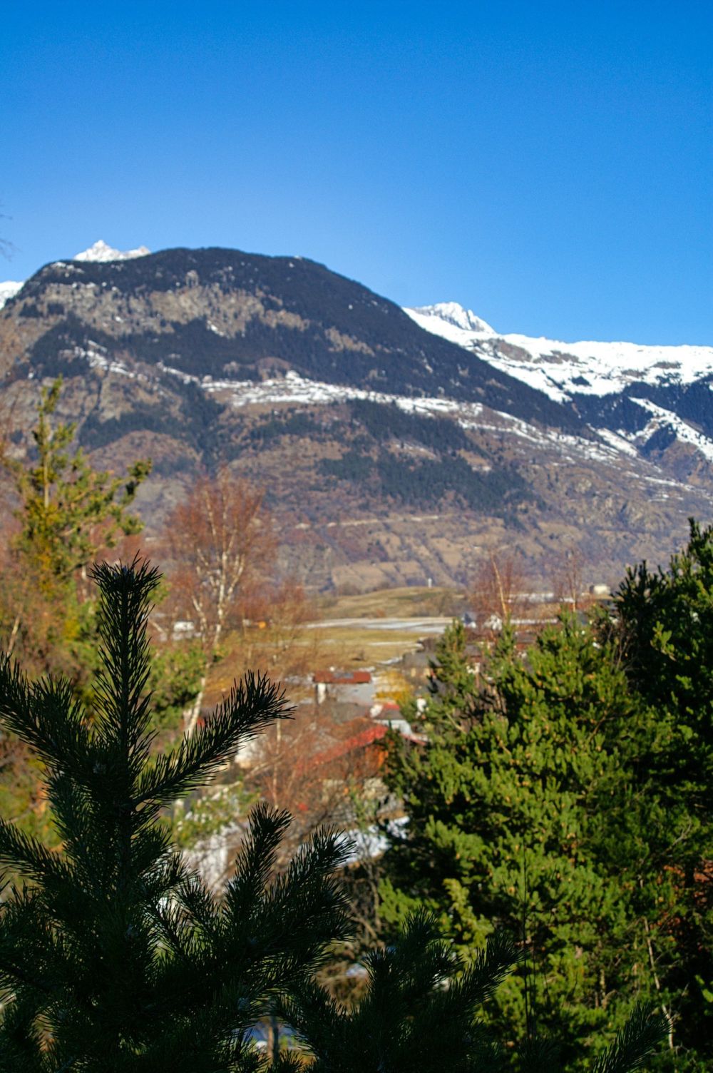 Fantastisches Bauland in ruhiger und unverbaubarer Lage -  Bild 6