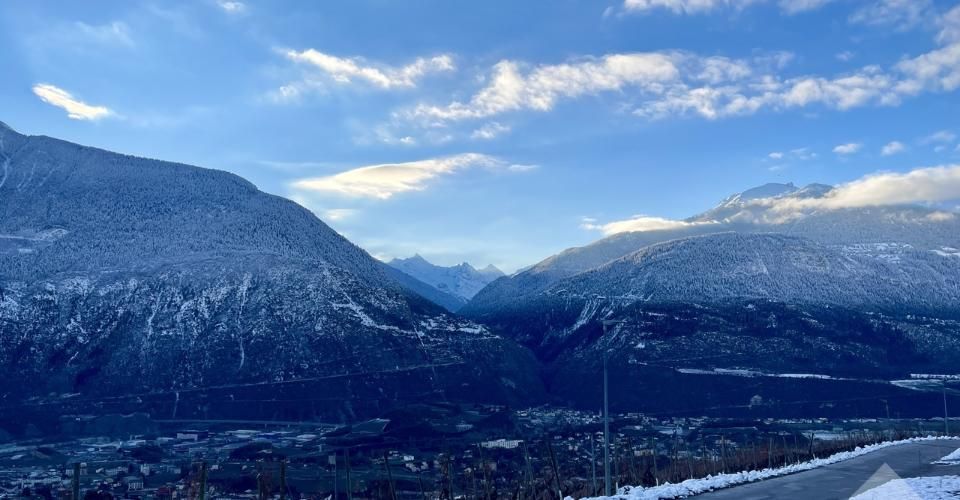 Promotion de 2 villas mitoyennes de 4.5 pces au calme, vue panoramique - Immeuble résidentiel 9 pièces - image - 3