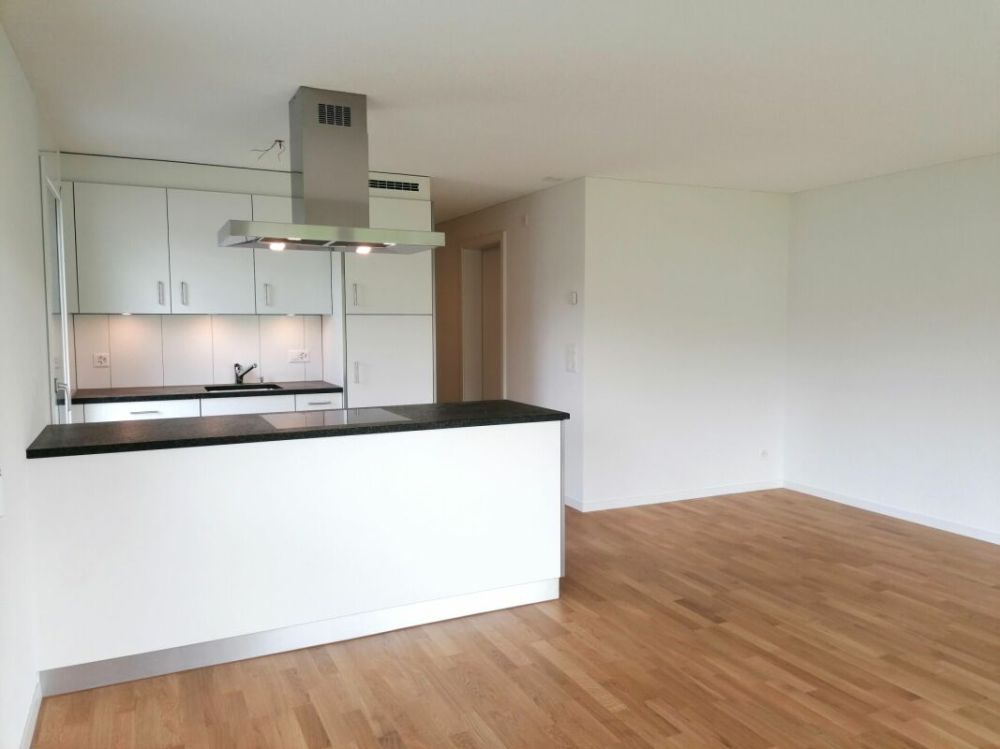 Generationenhaus (5.5 und 2.5 Zi. Wohnung) - Bild 5