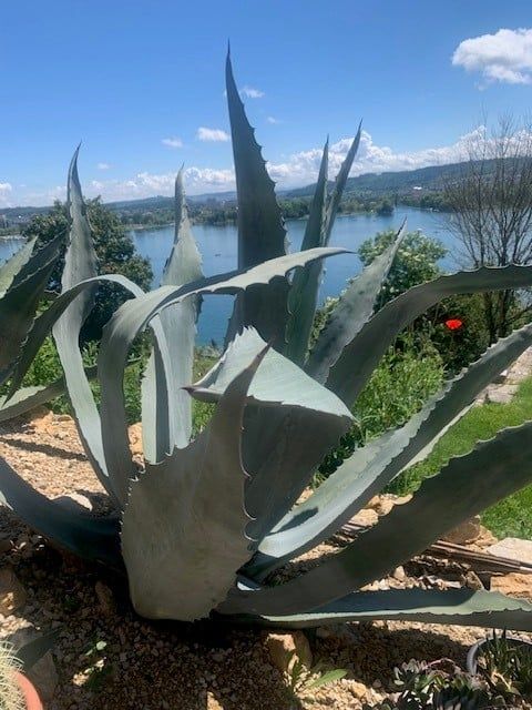 Exklusives Landhaus an Traumlage in Biel - Ein Wohntraum wird wahr! - Bild 3